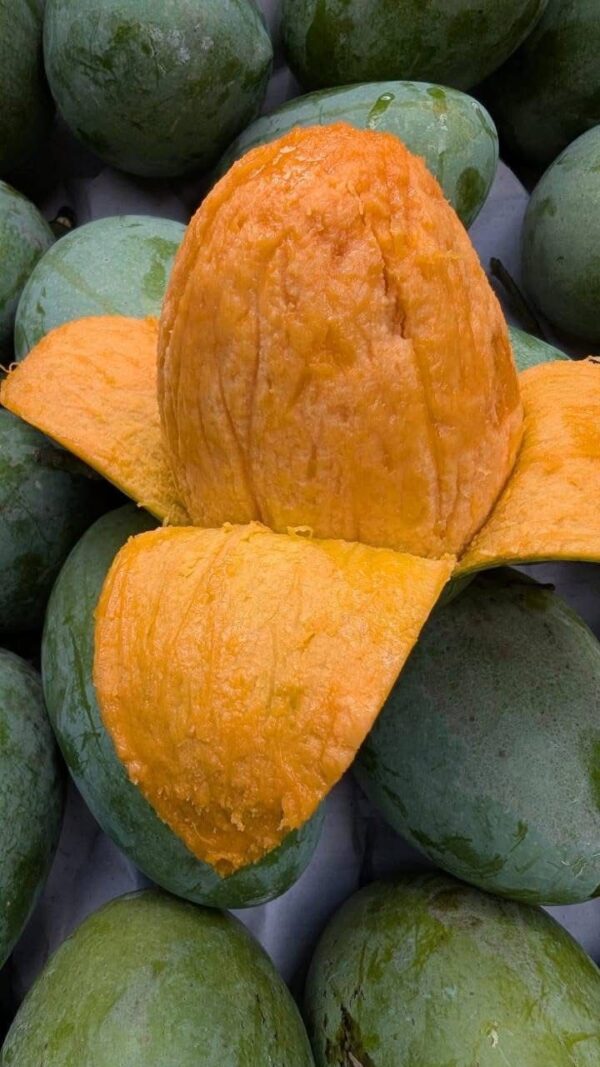 আম্রপালি / Amrupali – রাজশাহীর সুমিষ্ট স্বাদে ভরপুর - Image 2