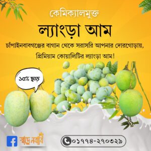 Langra Mango